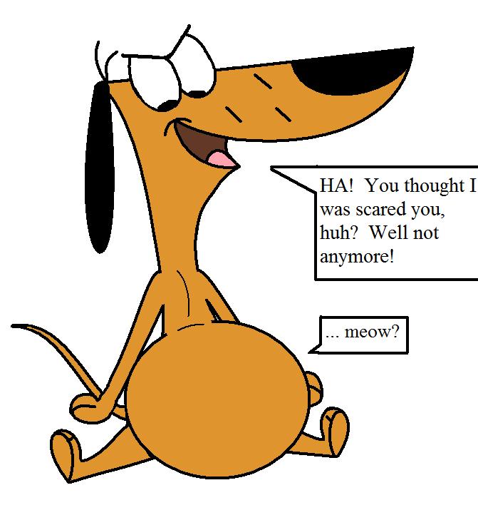 671x736 Little Dog Eats Cat By Footballlover