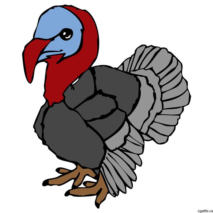 736x736 The Best Turkey Cartoon Ideas Easy Turkey