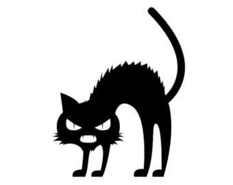 340x270 Scary Black Cat Etsy