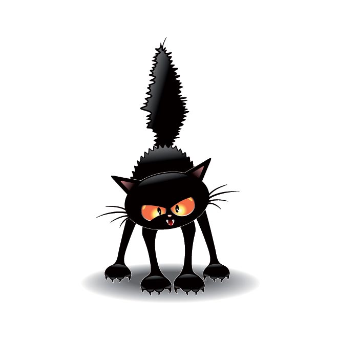 660x660 Free Vector Witch Scary Cat Scathing Floor Illustration 40104 Free