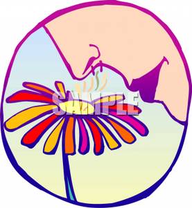 277x300 Woman Smelling A Flower