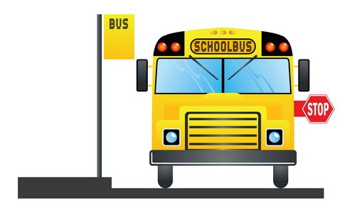 495x299 Pictures School Bus