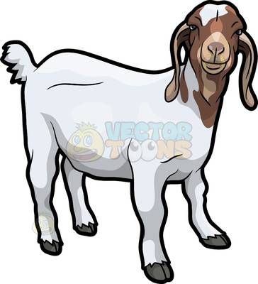 364x400 A Friendly Looking Goat With Long School Hallway With Lockers