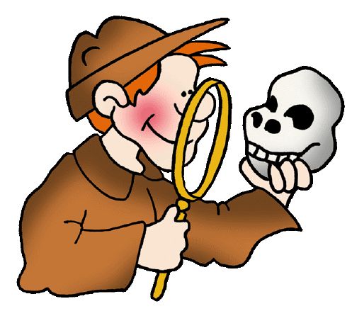 497x439 7 Best Science Clipart Images Clip Art, Zebras