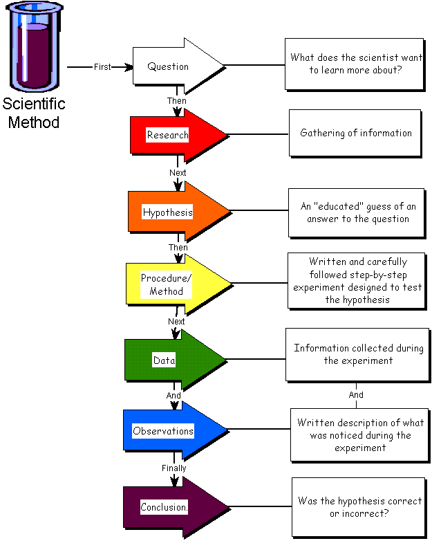 625x782 The Scientific Method Mr Calaski