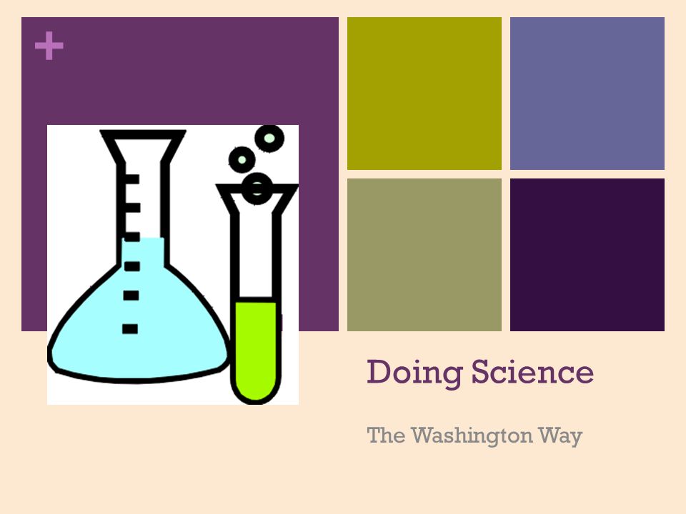 960x720 Doing Science The Washington Way. + What + Questionobservati