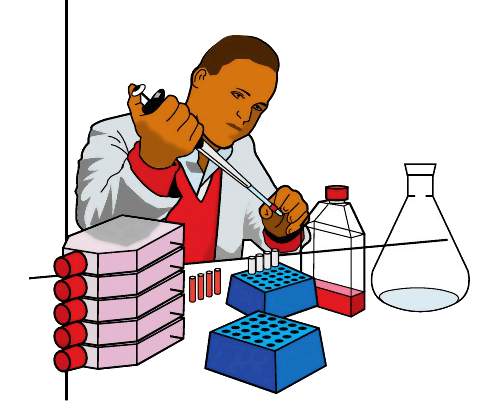 481x416 Best Science Lab Clipart