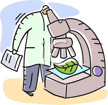 350x339 Botany Science Clipart Amp Botany Science Clip Art Images