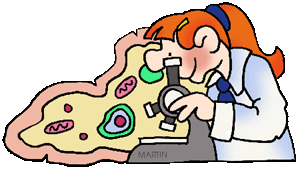 300x171 Free Original Science Clipart Clipart Panda