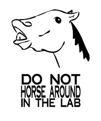 205x246 Here's A Simple Science Safety Contract. This One Has 6 Basic