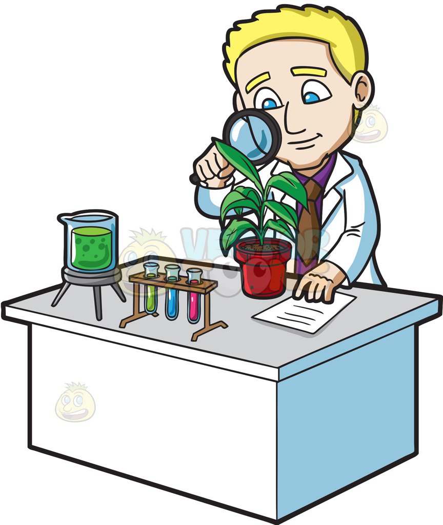 864x1024 A Scientist Studying A Plant Cartoon Clipart