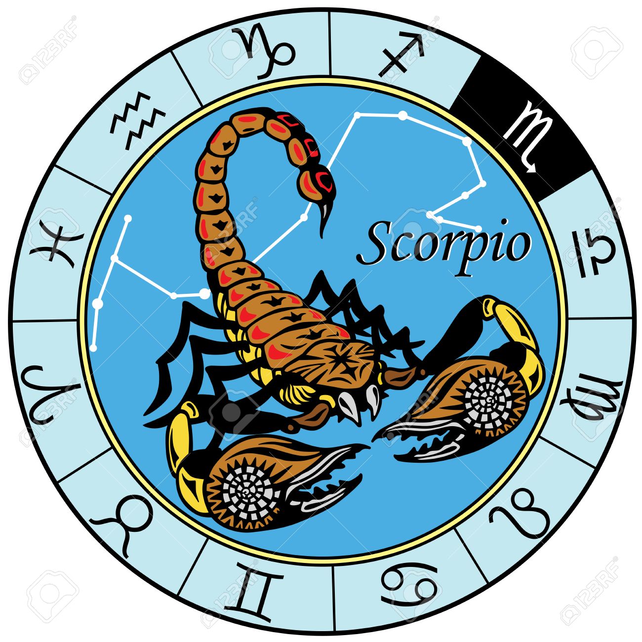 Collection of Scorpio clipart | Free download best Scorpio clipart on ...