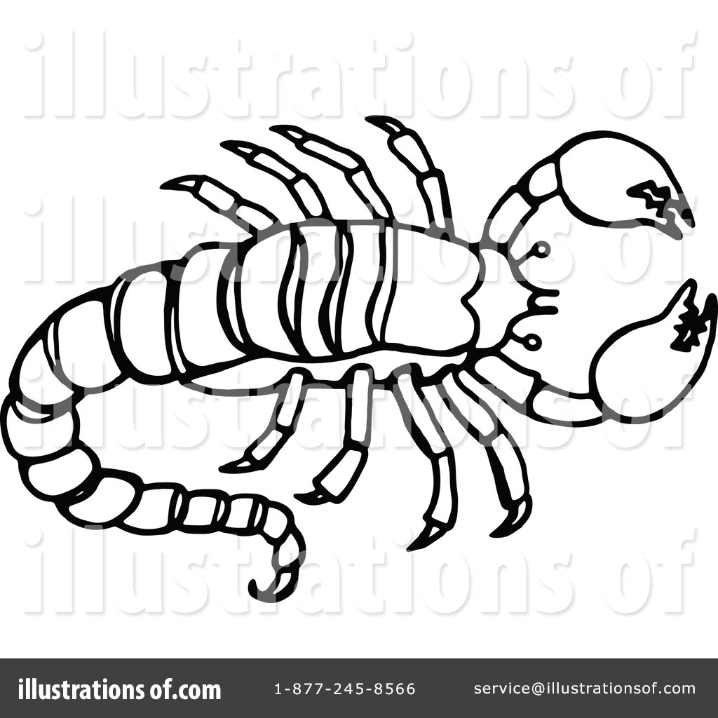 1024x1024 Scorpion Clipart Black And White