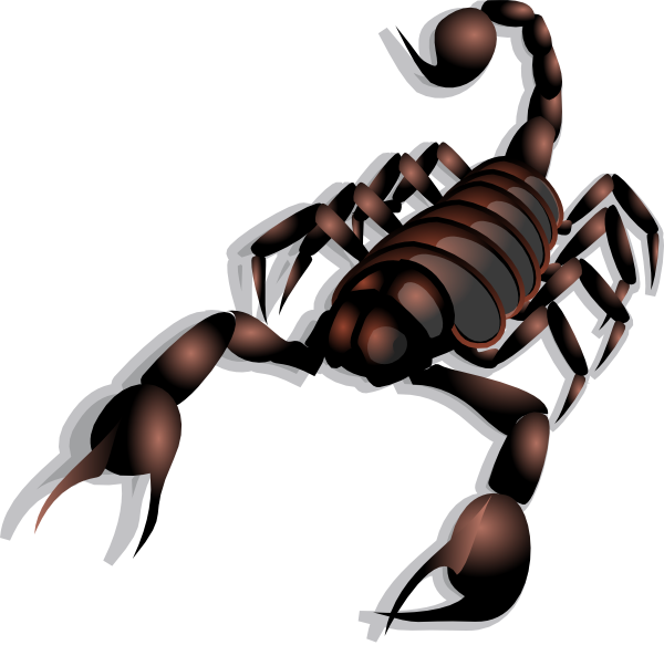 600x583 Scorpion Clipart Lambang