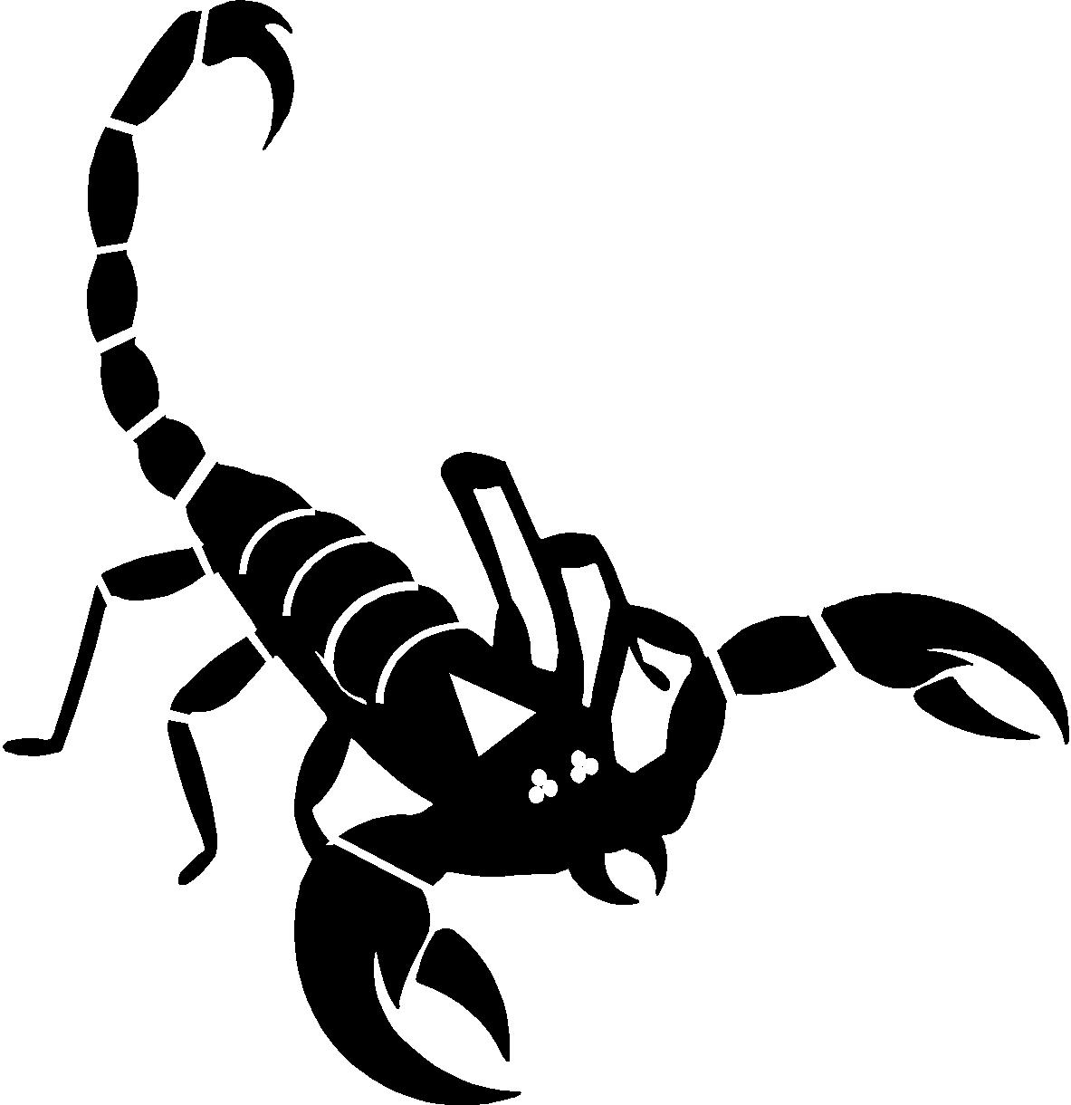 1183x1220 Arachnid Clipart Scorpio