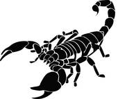 170x143 Scorpion Vector Clip Art