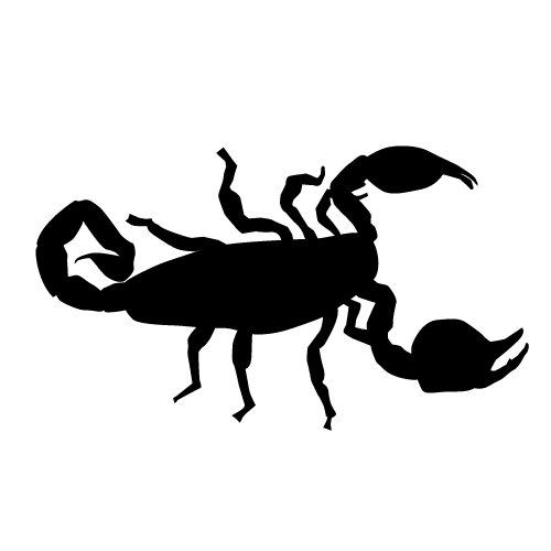 500x500 Scorpion Clip Art Hostted 2