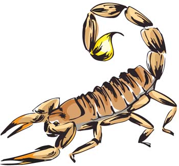 350x325 Scorpion Clip Art Vector Graphics Wikiclipart