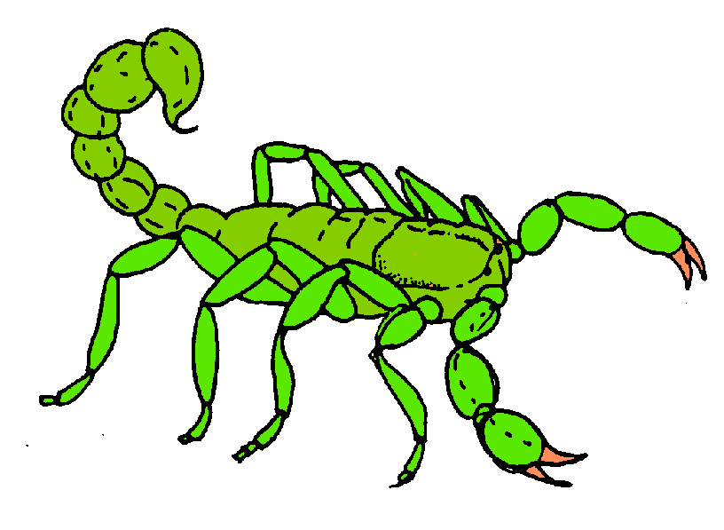 816x597 Scorpion Clipart Hostted 2