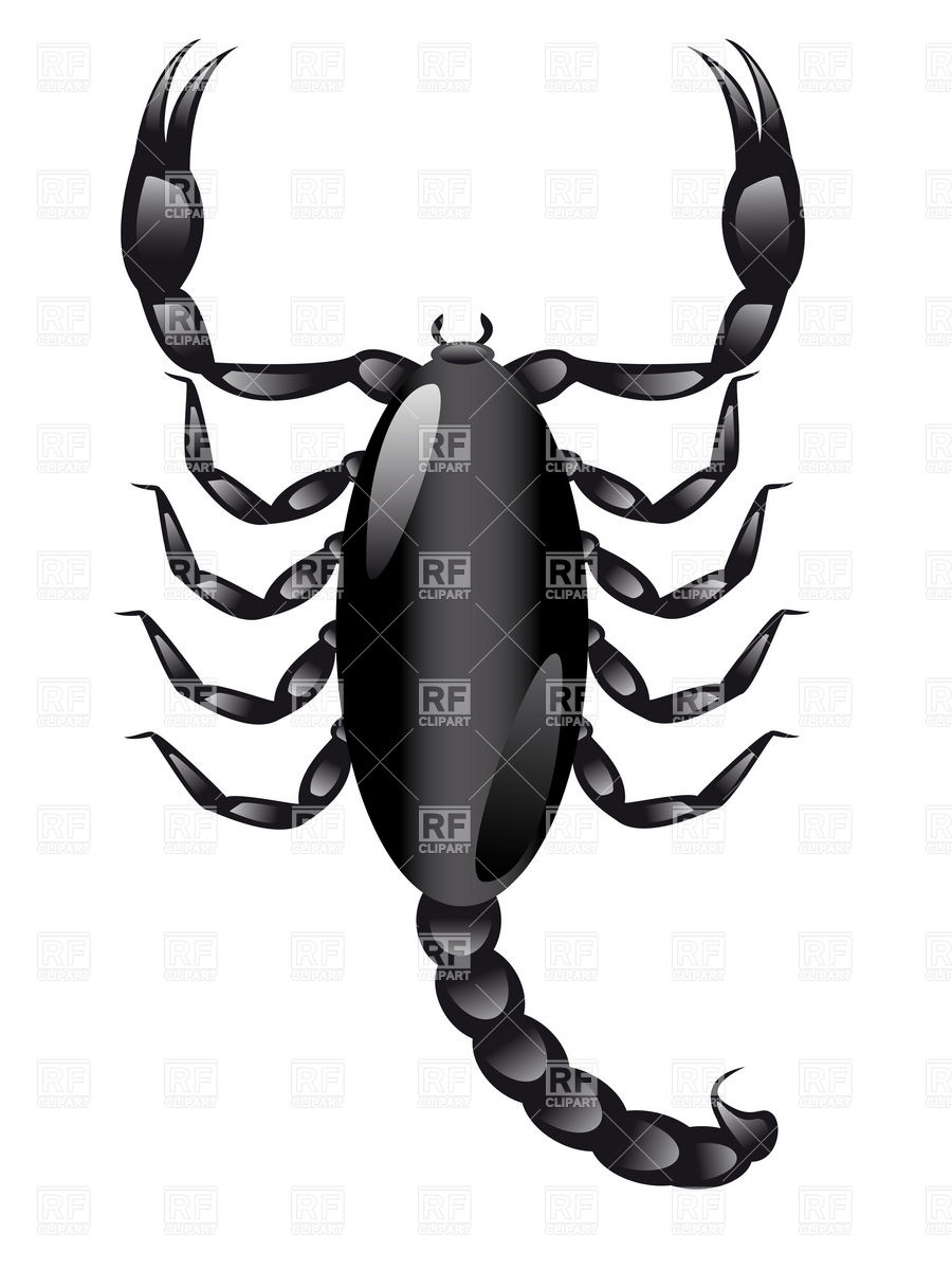 900x1200 Black Scorpion