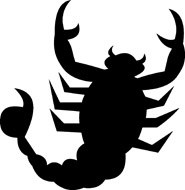 185x190 Search Results For Scorpion