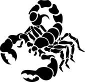 170x164 Clipart Of Scorpion Illustration K4471954