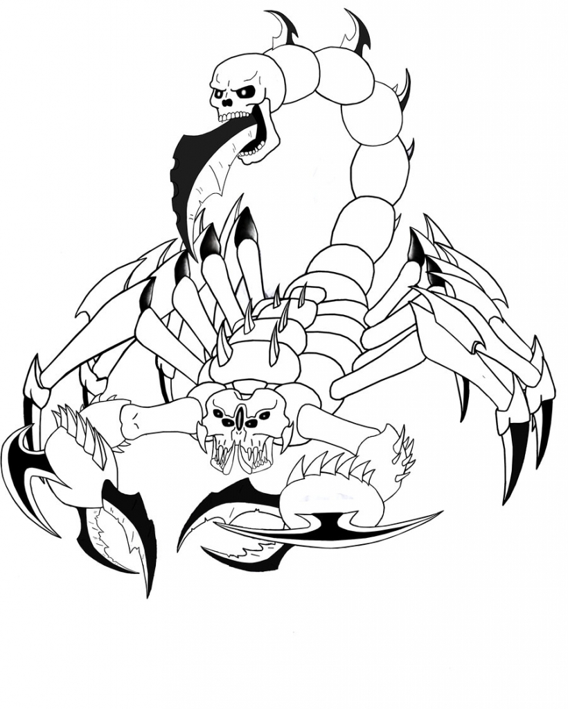 820x1024 Drawings Of Scorpions Scorpion Drawings Clipart Best