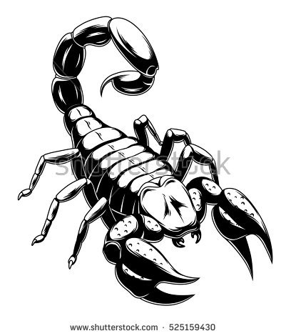 Scorpion Drawing | Free download on ClipArtMag