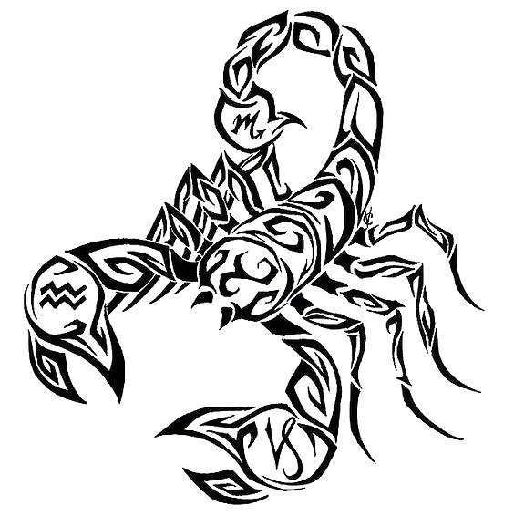 564x577 Scorpion Tattoo Meaning