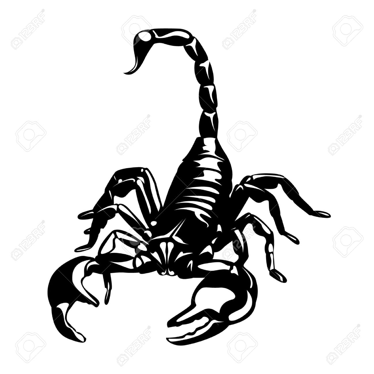 Scorpion Drawing | Free download on ClipArtMag