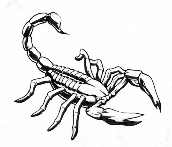 572x487 Scorpion Tattoo Designs