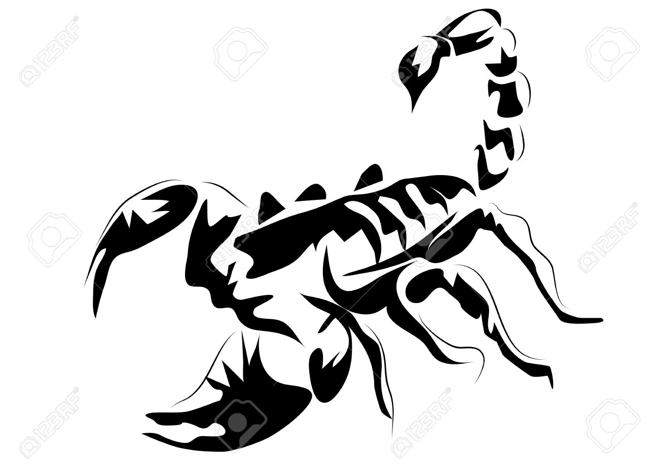 1300x919 Scorpion. Outline Animal Isolated On White Background Royalty Free