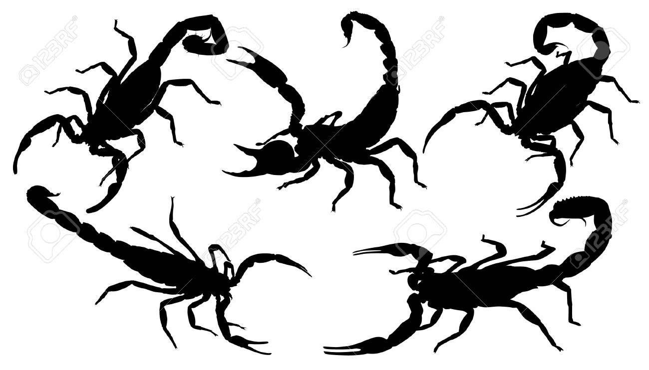 1300x742 Scorpion Silhouette On White Background Royalty Free Cliparts