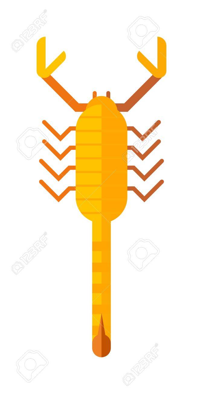 672x1300 Scorpion Yellow Silhouette Tattoo Poison Insect And Scorpion