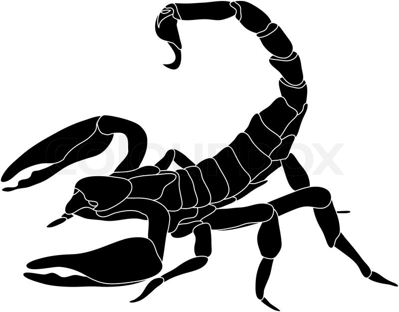 800x625 Arachnid Clipart Red Scorpion