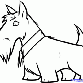 268x268 Scottie Dog Coloring Page Kids Drawing And Coloring Pages