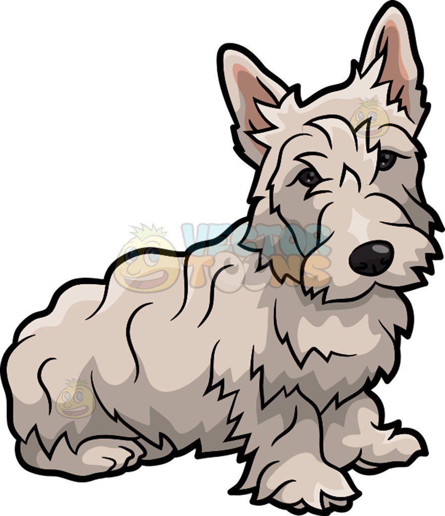 883x1024 A Frail Scottish Terrier Dog Cartoon Clipart