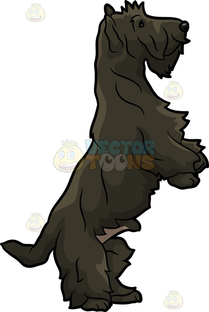688x1024 A Playfully Active Scottish Terrier Dog Cartoon Clipart
