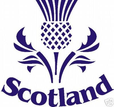 400x377 40 Best Scottish Thistle Images Design Tattoos