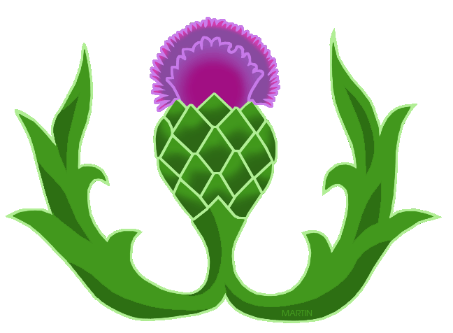 648x476 Celt Clipart Thistle