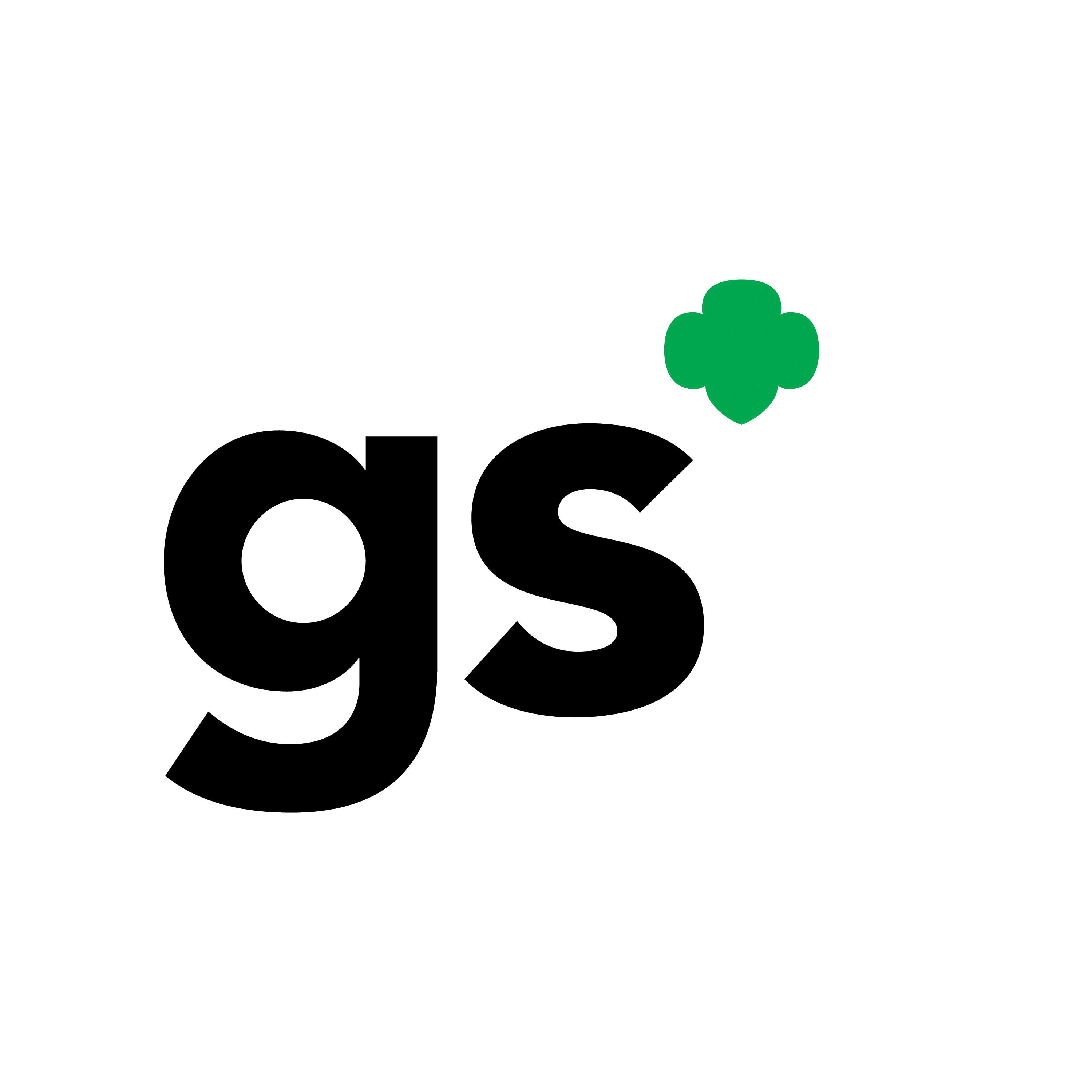 3000x3000 Girl Scouts On Scouts Troops And Girl Scout Leader Clipart