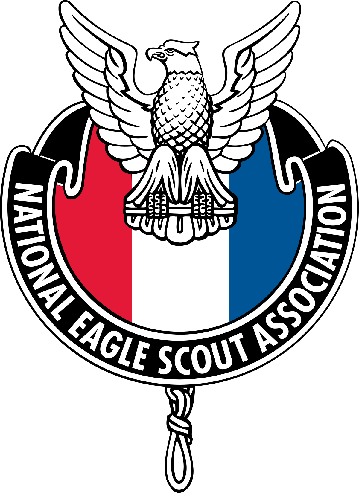 1200x1649 National Eagle Scout Association