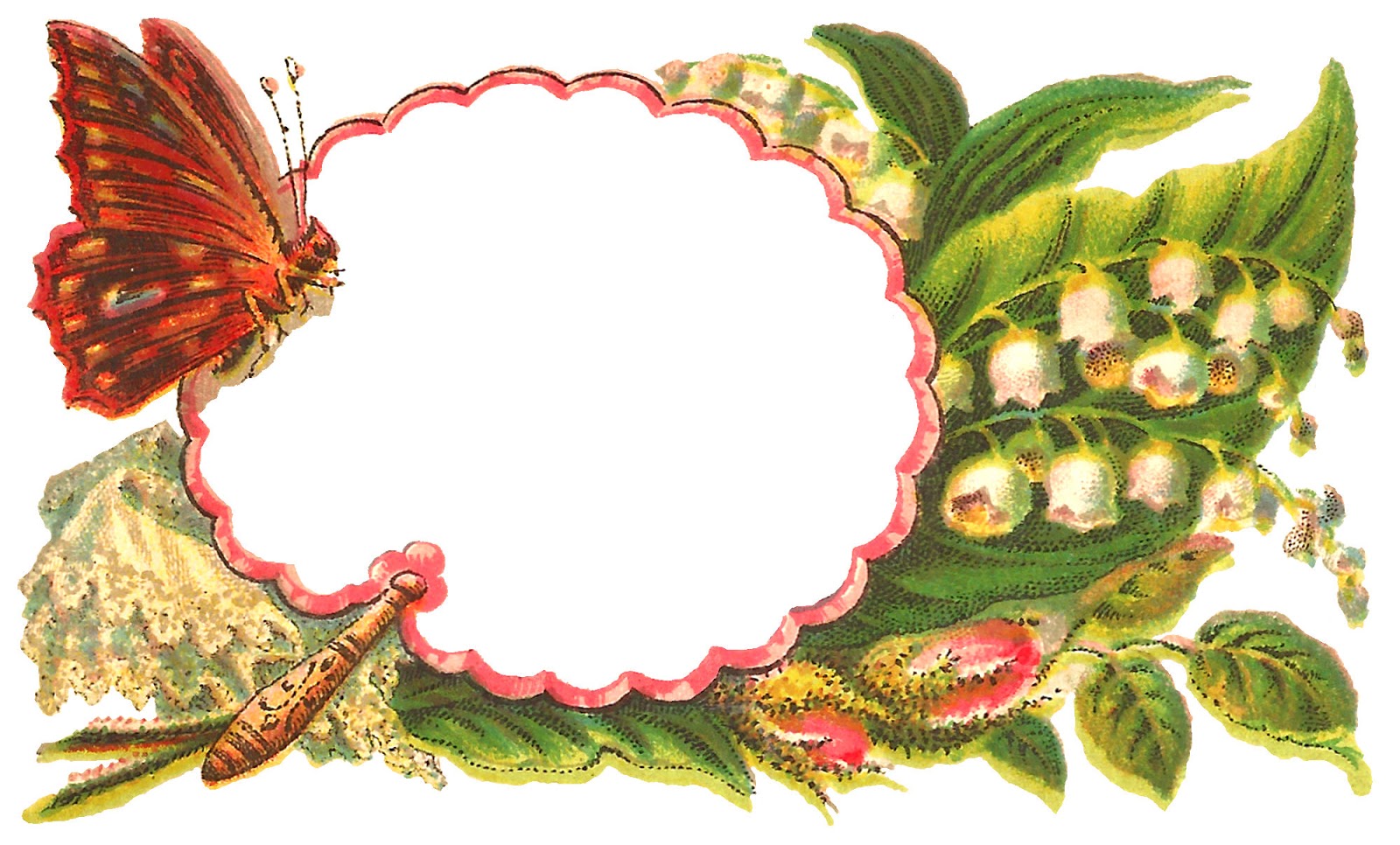 1600x966 Antique Images Free Digital Butterfly Label Crafting Clip Art