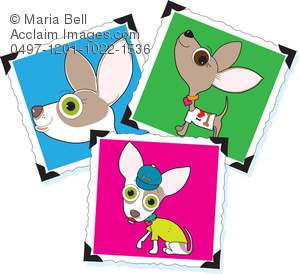 300x274 Photographs Of A Cute Chihuahua Dog, Somebody's Favorite Pet