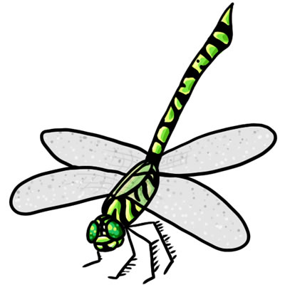 400x400 Dragon Fly Clipart