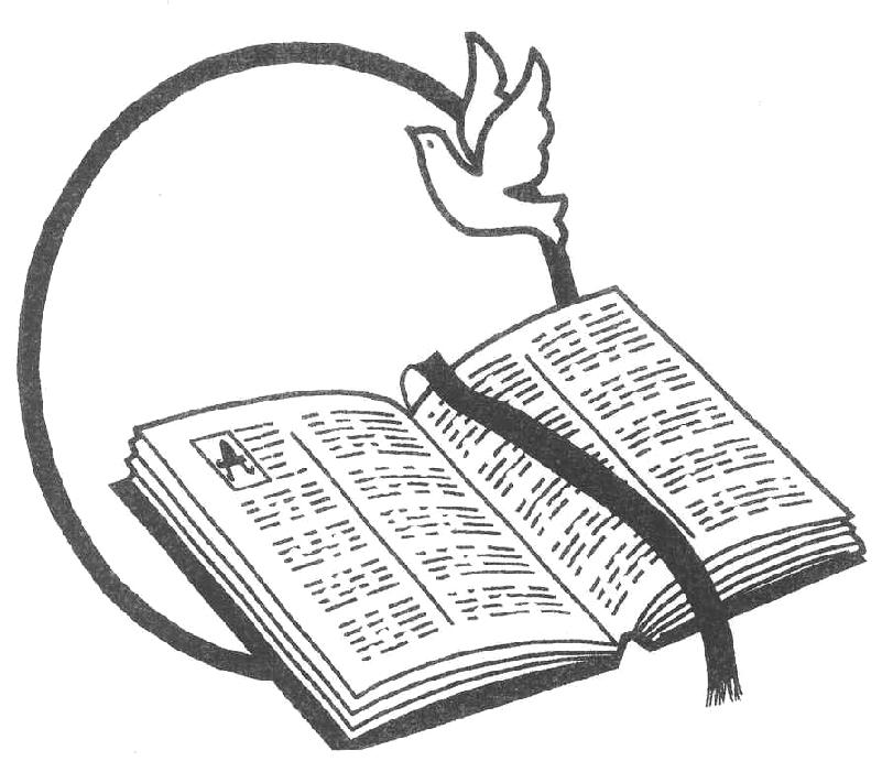 801x701 Peace Dove Clipart Bible