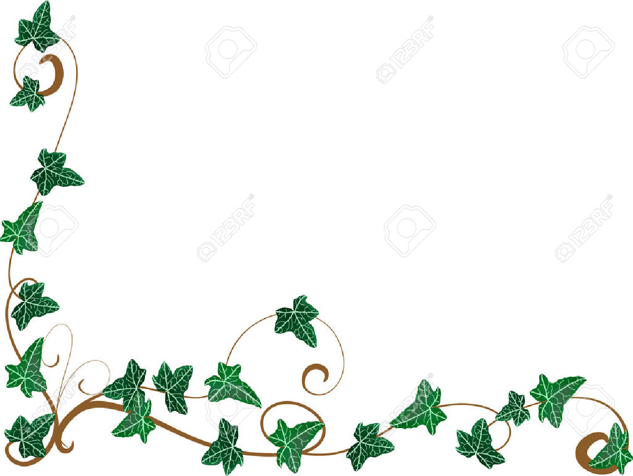 1300x977 Ivy Border Clip Art