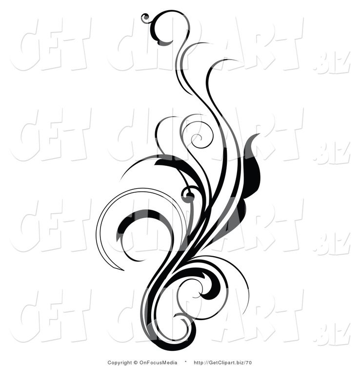 736x750 Curly Scroll Clipart