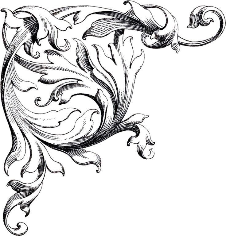 736x769 Decoration Clipart Wedding Scroll