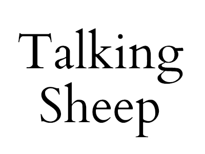 400x300 For The Web Chikaboo Designs